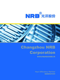 2014版91视频网址股份樣本