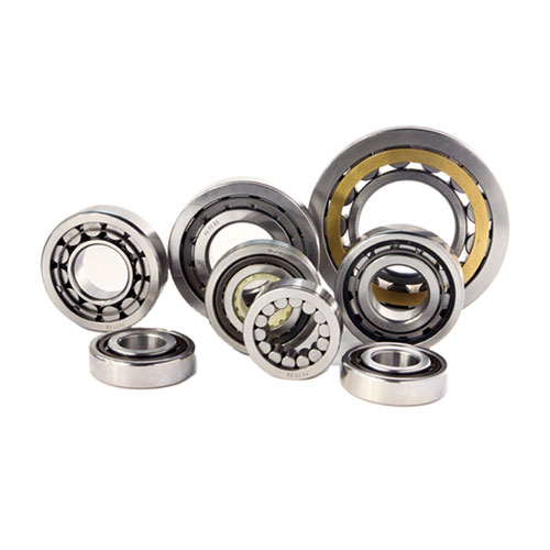 Single and Double Row Cylindrical Roller Bearing